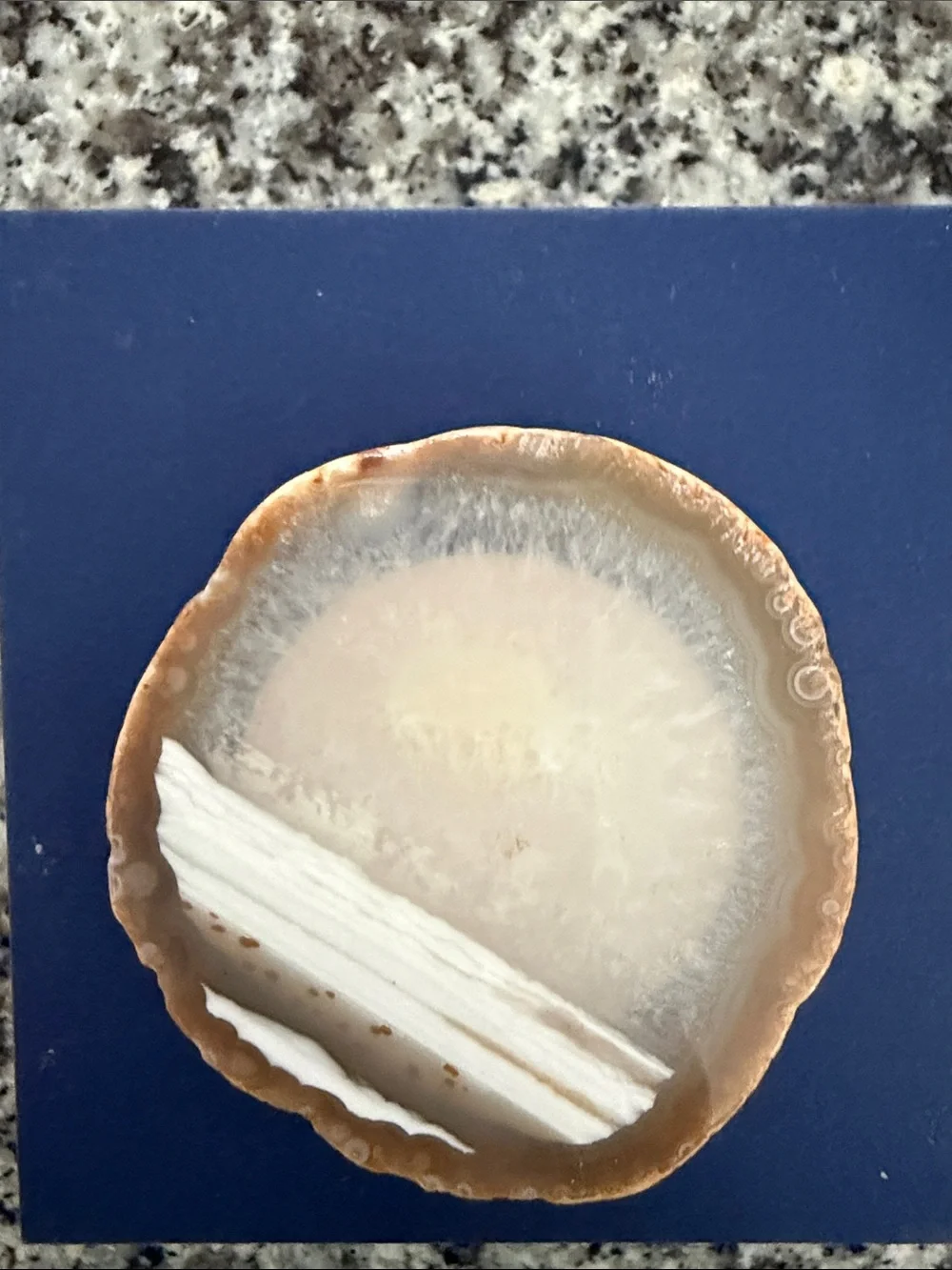 Brown and White Agate Slice Pop Socket